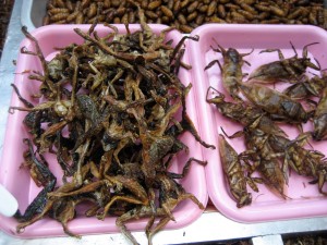 deep fried roaches, anyone?